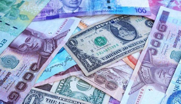 Dollarlaşma nədir?