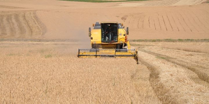 Qlobal qida qiymətləri qalxır 