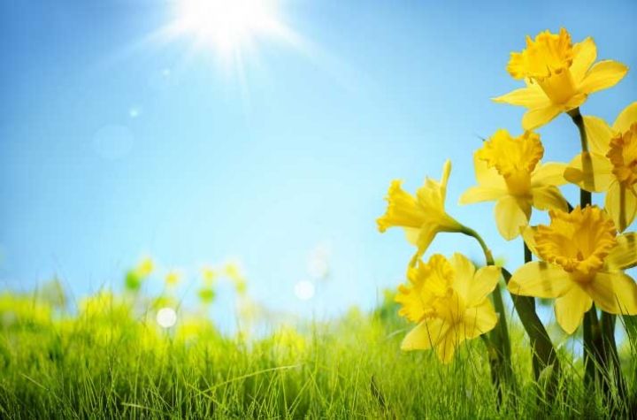 İstirahət gününə olan hava proqnozu açıqlandı