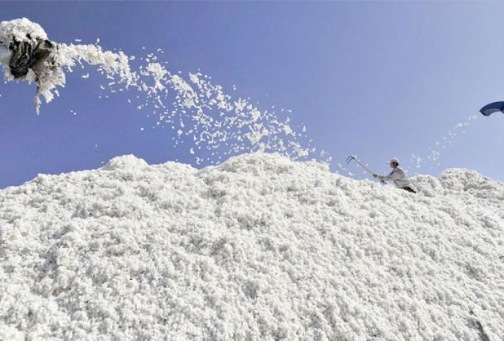 Pambıq tədarükünə dair operativ məlumat 