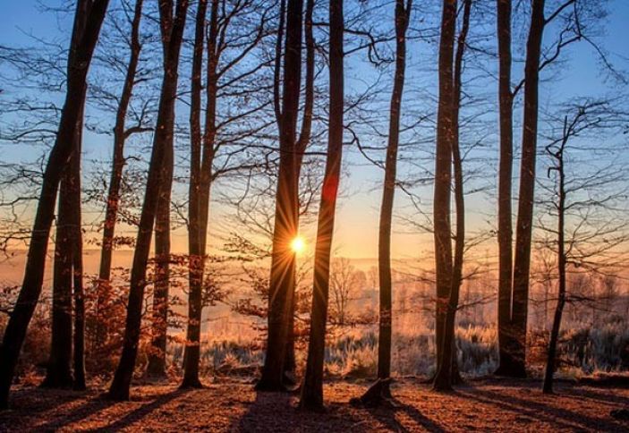 İstirahət gününə olan hava proqnozu açıqlanıb