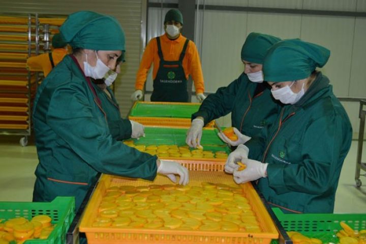 Balakən xurmasına dəyər qatacaq müəssisə işə düşdü