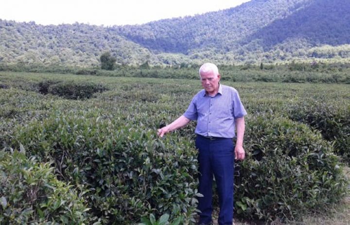 "Tədbir görülməzsə, təkcə adı qalacaq” 