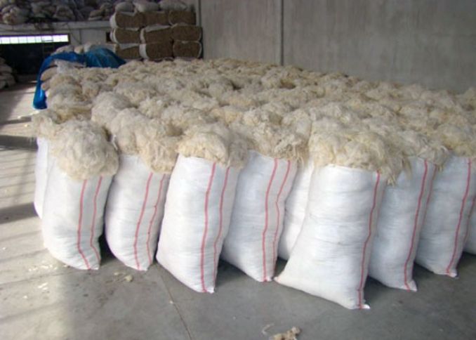 Ən yüksək nəticəni qazanan fermer - hər qoyundan...