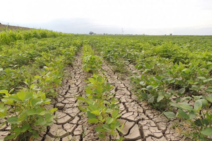 Azərbaycann sığorta fondu 74,5 milyon manatlıq risk qəbul edib