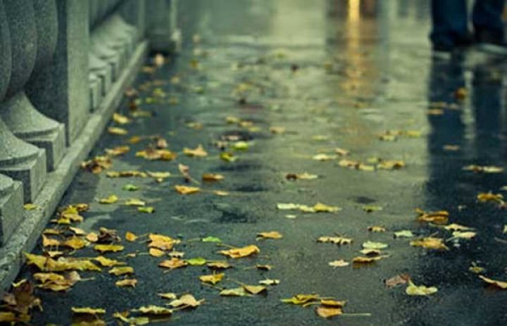 Bəzi yerlərdə yağış yağacaq, duman olacaq