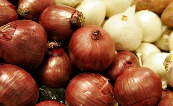 Sahibkarlar nə üçün xarici toxumlara üstünlük verirlər?