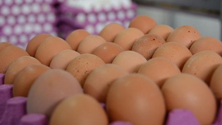 Azərbaycan şirkəti ərəb ölkəsinə yumurta ixracına başlayır