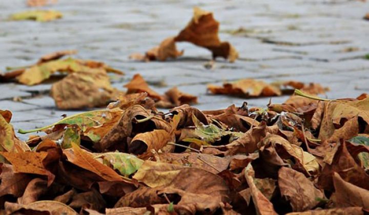 Hava şəraiti qeyri-sabit keçəcək - XƏBƏRDARLIQ