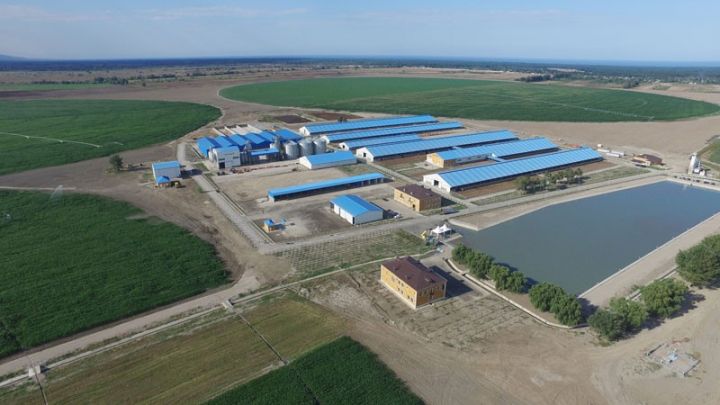 51 aqropark və iri fermer təsərrüfatı yaradılır