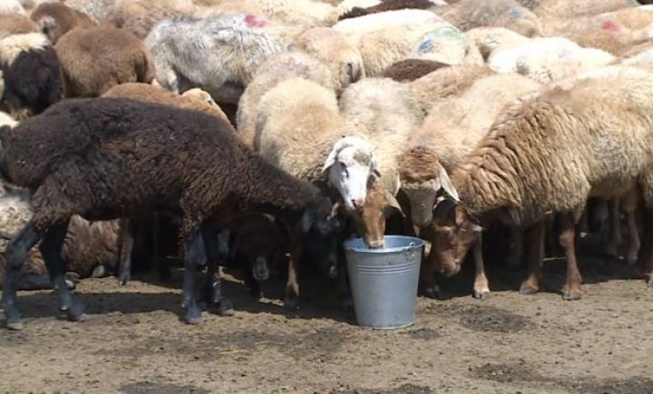 Fermerdən nazirə müraciət - “O niyə kabinetindən çölə çıxmır?”