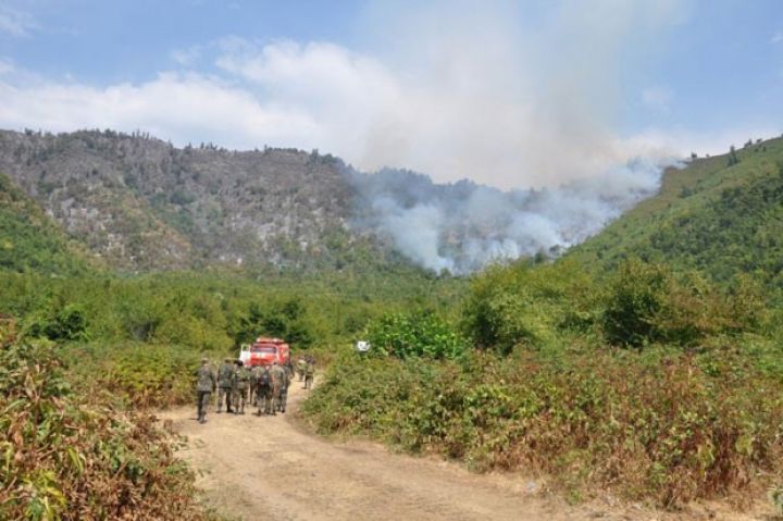 Xaçmazda meşə zolağında baş verən yanğın söndürülüb