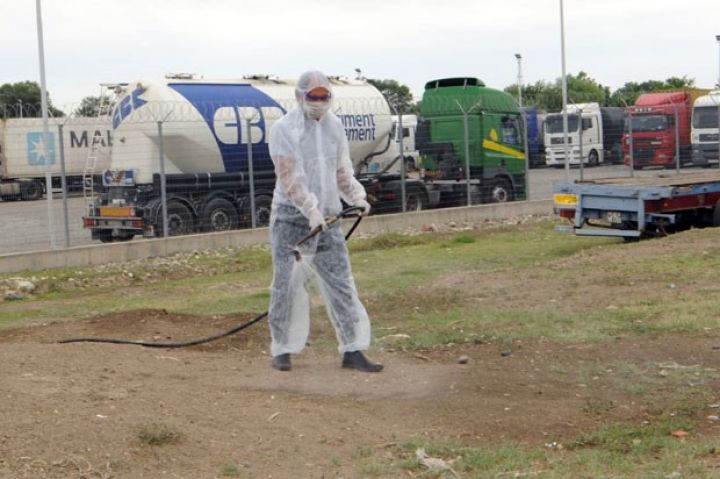 Gürcüstandan gətirilən yüklərin boşaldılma yerləri dezinfeksiya edilir