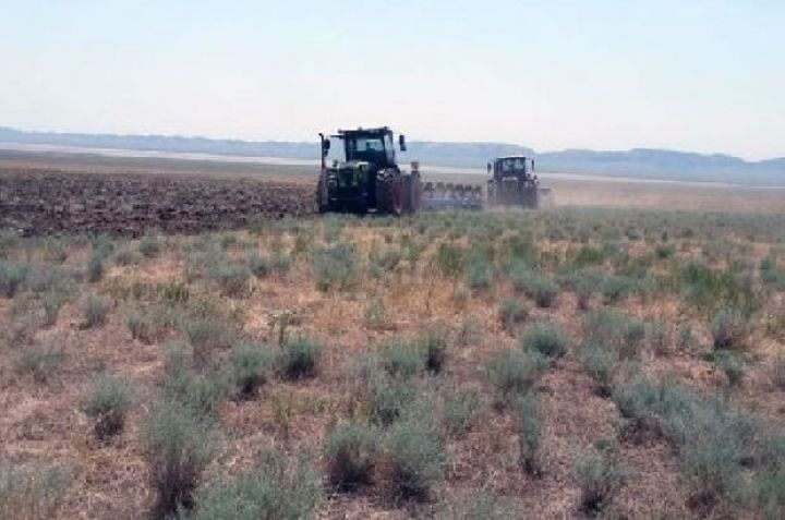 Torpaqlar vətəndaşların icarəsindən geri alınır