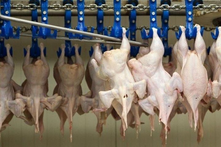 Azərbaycanın məşhur şirkətinin səhmləri satışa çaxarılıb - YENİLƏNİB