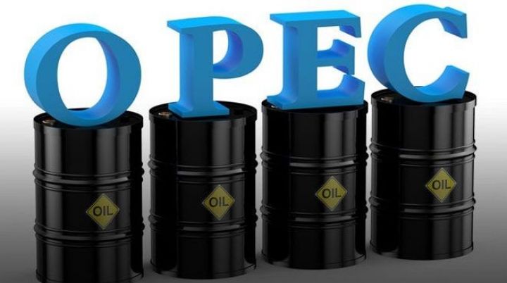 Növbəti OPEC+ görüşü gələn ilin I rübündə Bakıda keçiriləcək