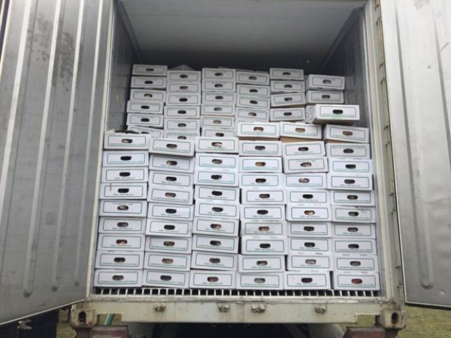 Səudiyyə Ərəbistanı Azərbaycana 37 min kiloqramdan çox ət göndərib