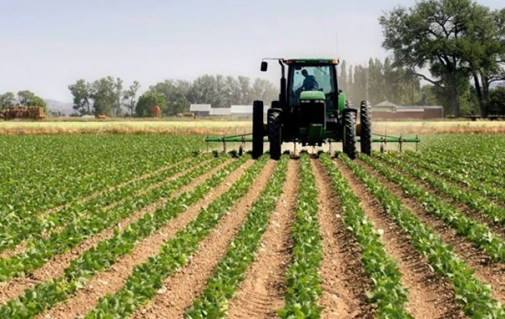 18 bölgəni əhatə edən aqrar şirkət yaradıldı