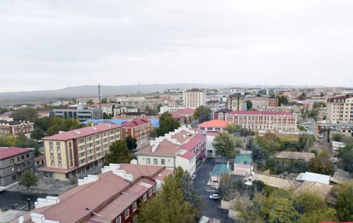 Şöbə müdiri idi, Baytarlıq Xidmətinin rəisi təyin edildi