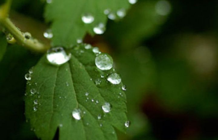 Rayonlarda şimşək çaxacaq, yağış yağacaq, dolu düşəcək