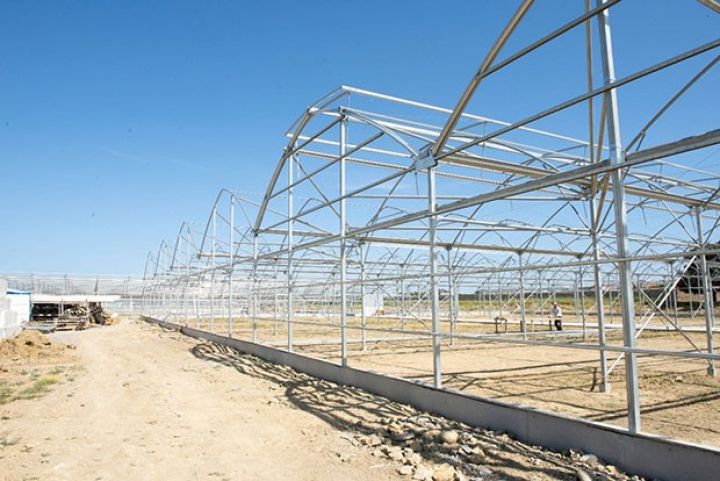 İsrail şirkətinin layihəsilə istixana tikilir - NAZİR TANIŞ OLDU