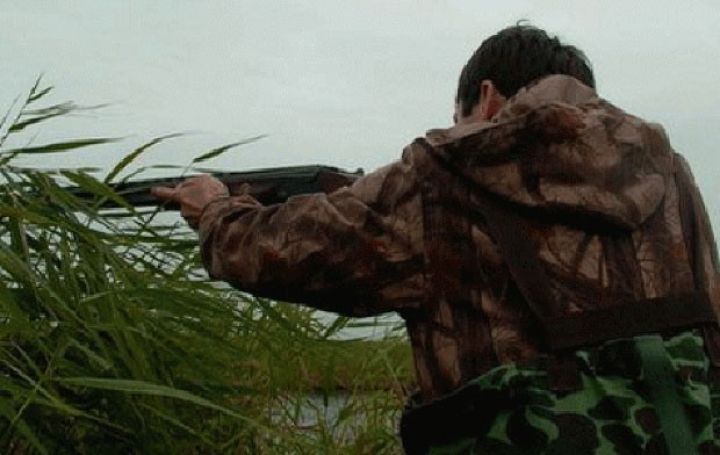 "Azərovçu"nun verdiyi biletlər qüvvədə deyil - "ONLAR OVÇU DEYİLLƏR"