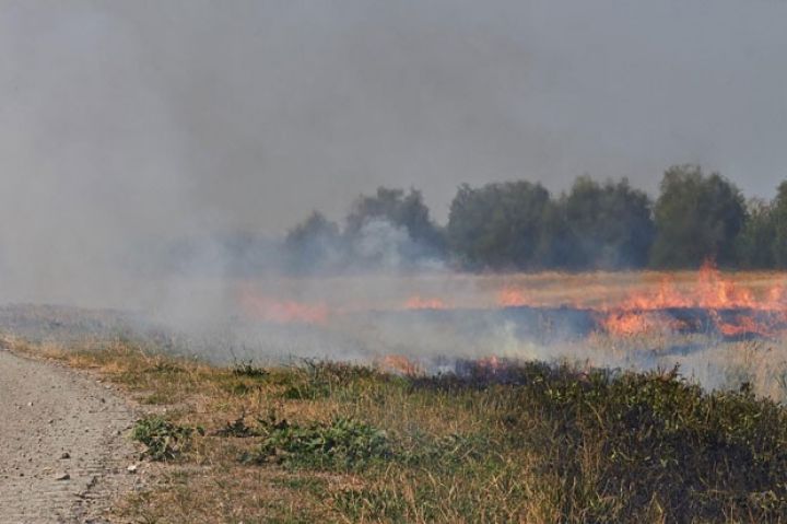 Əkin sahələrinin yandırılmasının qadağan edilməsinin səbəbi açıqlanıb