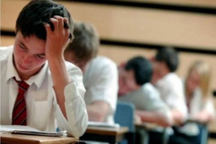 Ali təhsilin bakalavriat səviyyəsində yeni ixtisas tədris olunacaq