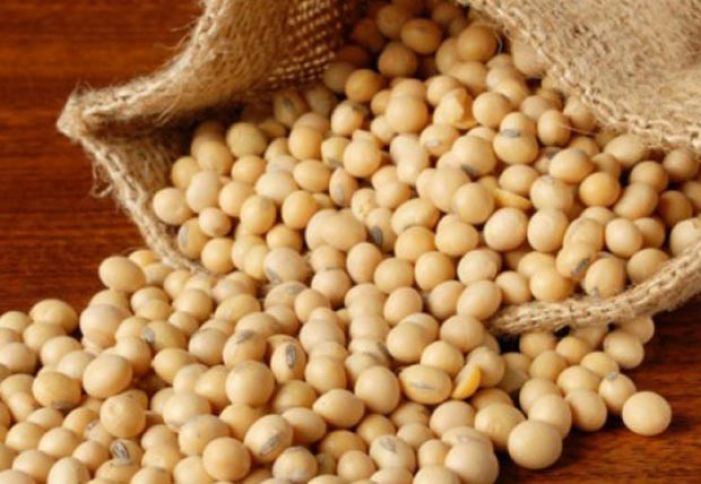 "Hektardan 25-30 sentner soya götürürük"