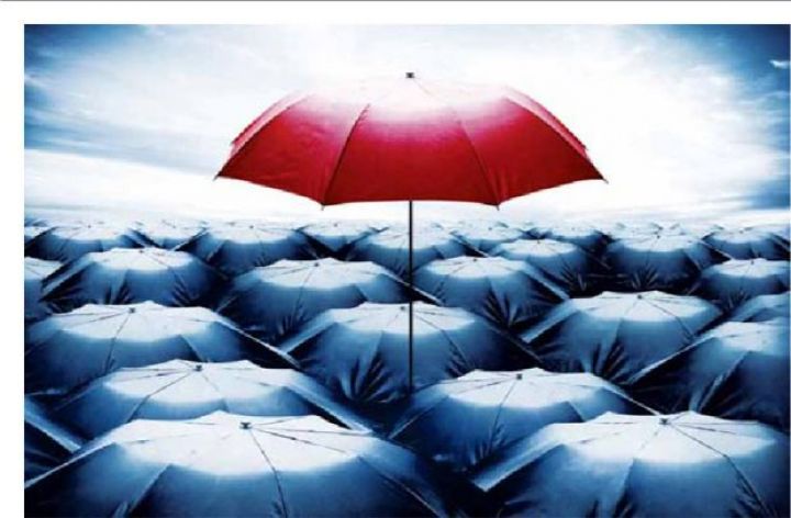 Sığorta haqlarının 75%-i 5 şirkətin kassasına daxil olur