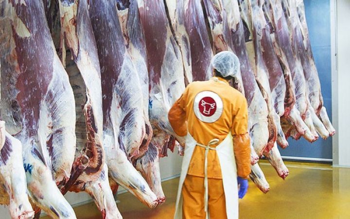 Bu aqroparkın qərb bölgəsində analoqu olmayacaq  