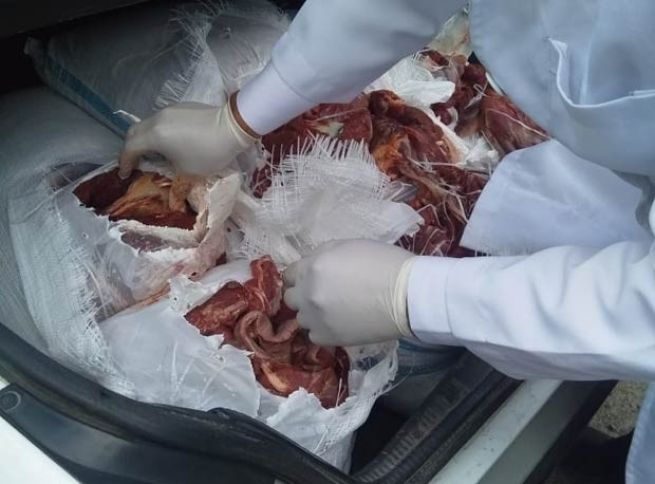 Paytaxta gətirilən 400 kq ətin at əti olduğu aşkar olundu