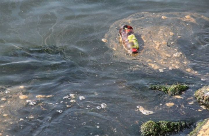 Xəzəri çirkləndirən müəssisələrin adları açıqlanıb - SİYAHI