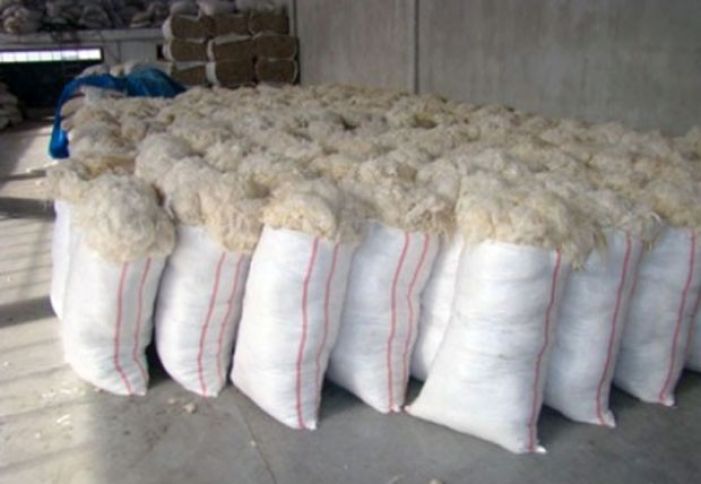 Azərbaycan Hindistana yun ixrac edəcək - RAZILAŞMA