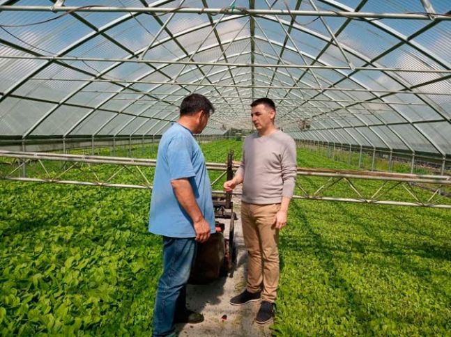 Azərbaycan şirkəti Serbiyadan tütünçülük üzrə təcrübəli məsləhətçi dəvət edib