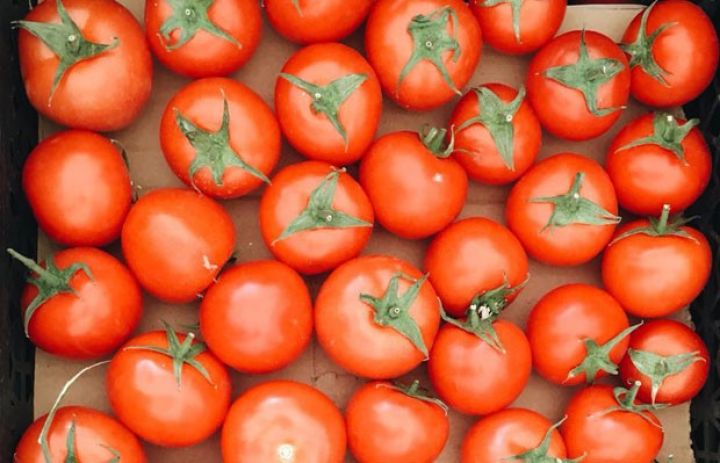 Rusiya 15,5 ton pomidoru Azərbaycana qaytardı