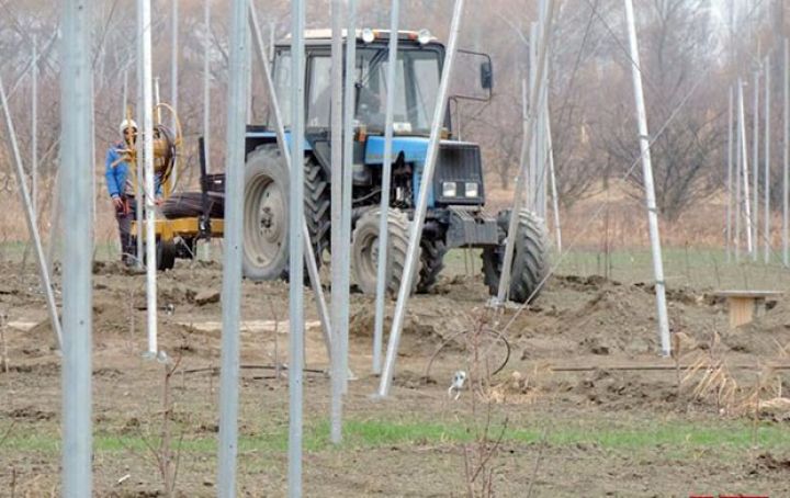 Azərbaycanda ilk dəfə “ağıllı bağ” yaradılır