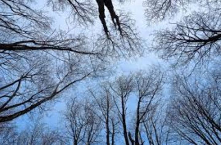 Sabaha olan hava proqnozu açıqlandı