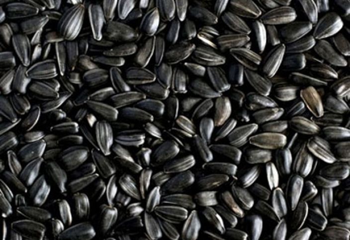 Satış bazarı olduğundan əkini artır