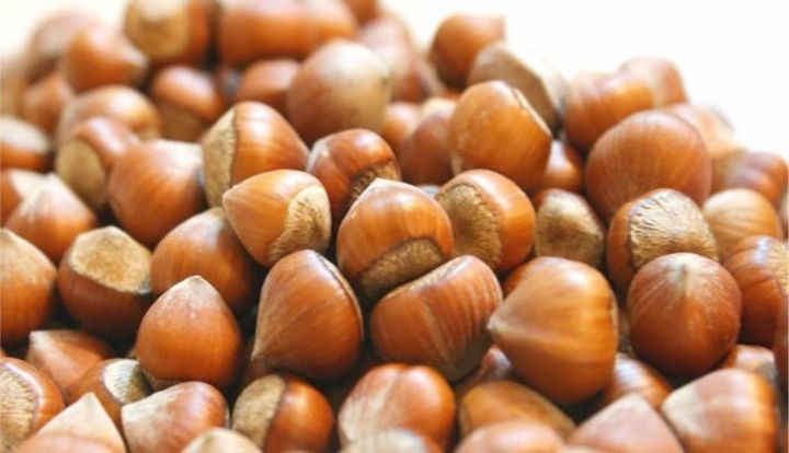 "Türk lirəsinin ucuzlaşması Azərbaycandan fındıq ixracının azalmasına səbəb olub"