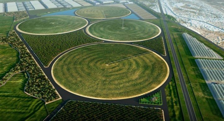 Kənd təsərrüfatı şirkətinə 74 milyon manatdan çox sərmayə verildi