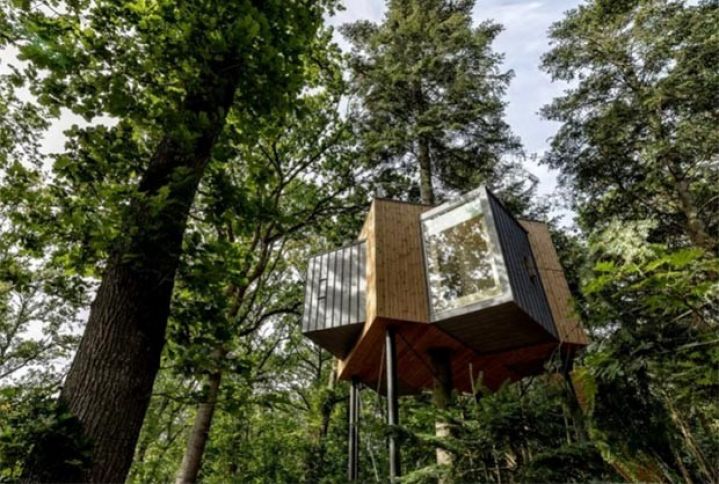 Ağacların təpəsində otel yaradılır