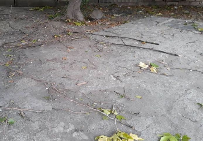 Qərb bölgəsində meyvə ağaclarına və əkin sahələrinə ziyan dəyib