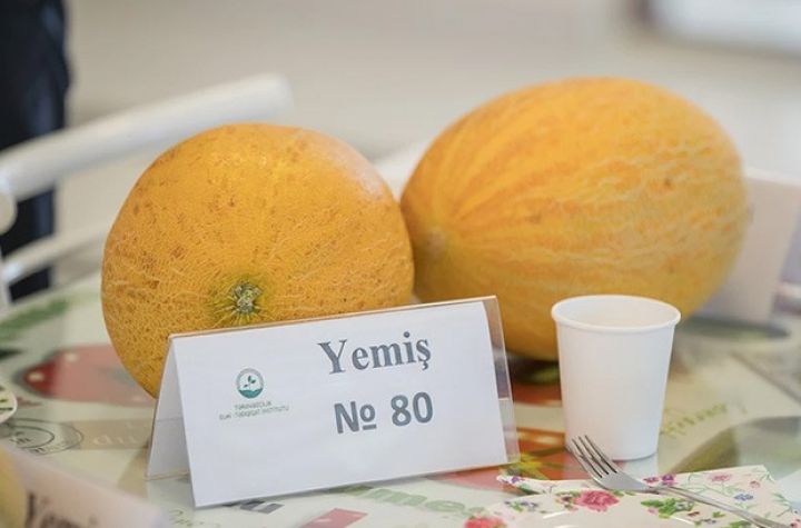 Yeni yemiş sortları əldə olunub