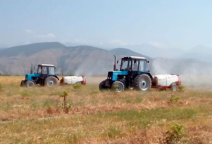 Fövqəladə Hallar Nazirliyi çəyirtkələr ilə mübarizəyə cəlb edilib 