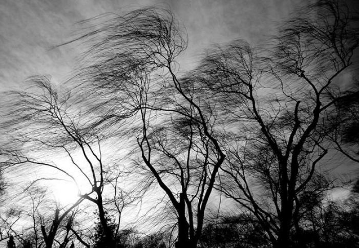 Bakıda güclü külək əsəcək - XƏBƏRDARLIQ