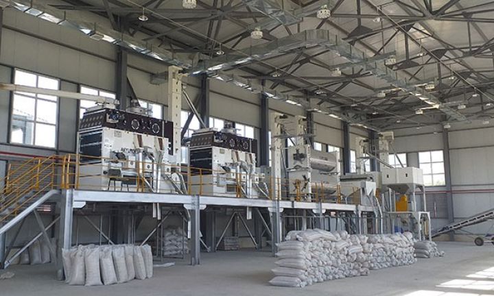 Zavodlarda 5000 ton toxum emal olunub