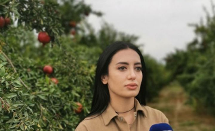 "Xarici bazarı hədəfləyən yeni marka yaratmışıq"