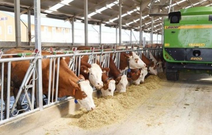 10 milyon manatlıq heyvandarlıq kompleksi tikilir - SİFARİŞ BU ŞİRKƏTƏ VERİLDİ