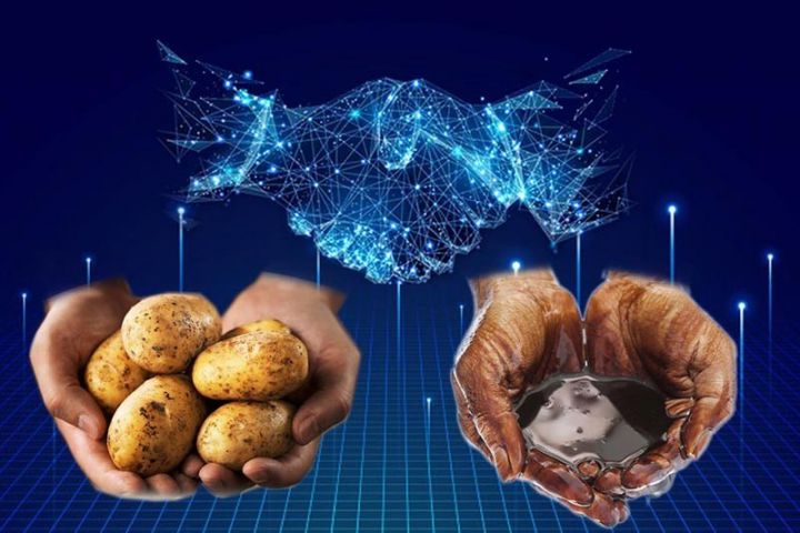 “Rentabelliyi neftə bərabər KARTOF”